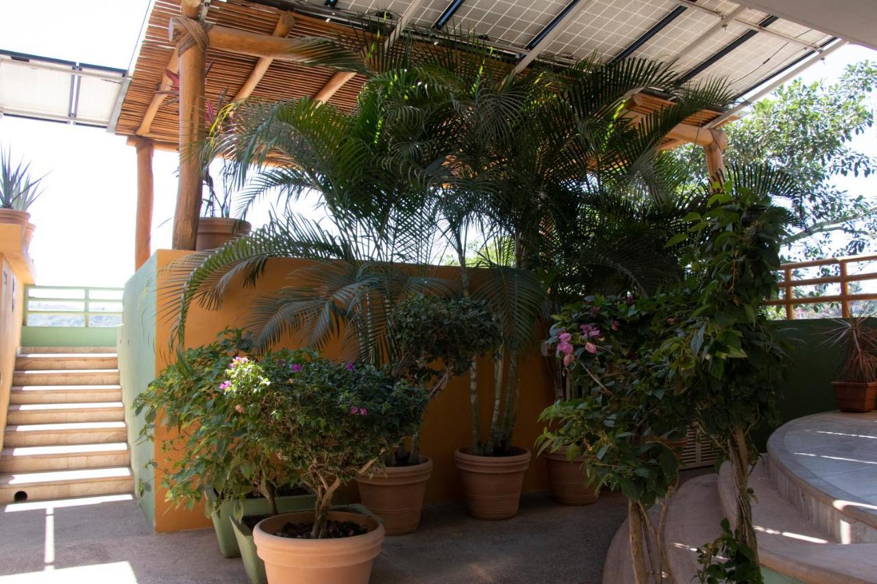 Mboutique Hotel Sayulita Luaran gambar